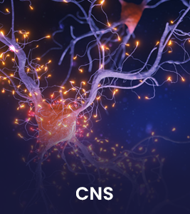 CNS