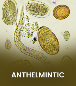 Anthelmintic