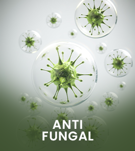Anti Fungal