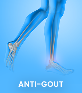 Anti Gout