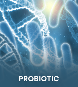 Probiotic